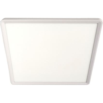 LED Stropní svítidlo LED/32W/230V 3000/4000/6500K 40x40 cm bílá