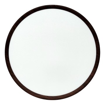 LED Stropní svítidlo LED/32W/230V 3000/4000/6500K pr. 40 cm hnědá