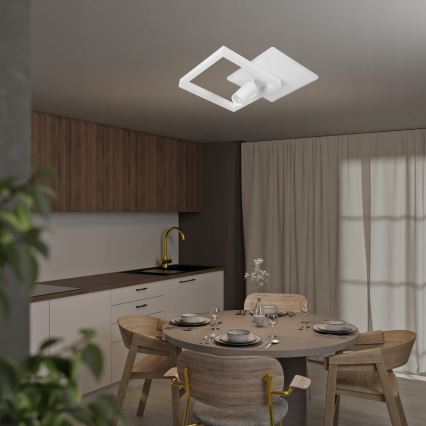 LED Stropní svítidlo LED/38W/230V + 1xGU10/30W bílá