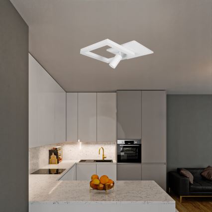 LED Stropní svítidlo LED/38W/230V + 1xGU10/30W bílá