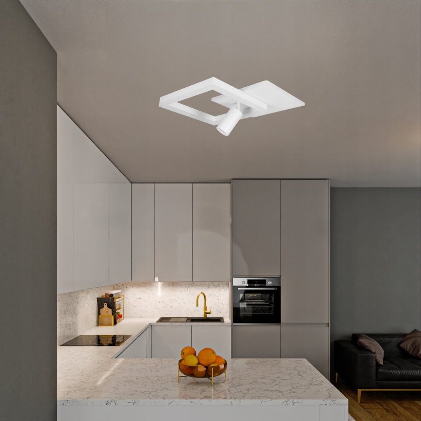 LED Stropní svítidlo LED/38W/230V + 1xGU10/30W bílá