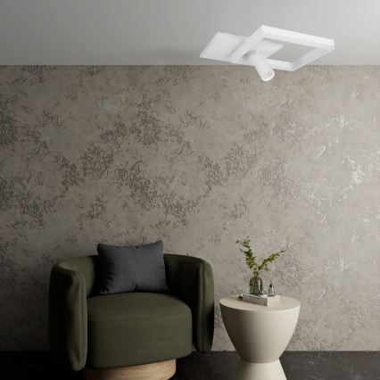 LED Stropní svítidlo LED/38W/230V + 1xGU10/30W bílá