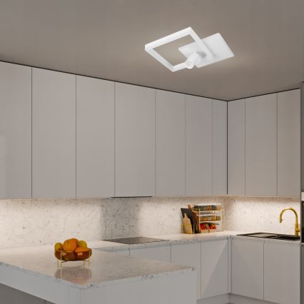 LED Stropní svítidlo LED/38W/230V + 1xGU10/30W bílá