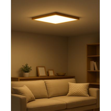 LED Stropní svítidlo LED/40W/230V 3000/4000/6500K 50x50 cm béžová