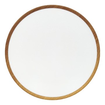 LED Stropní svítidlo LED/40W/230V 3000/4000/6500K pr. 50 cm béžová