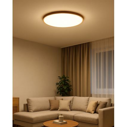 LED Stropní svítidlo LED/40W/230V 3000/4000/6500K pr. 50 cm béžová