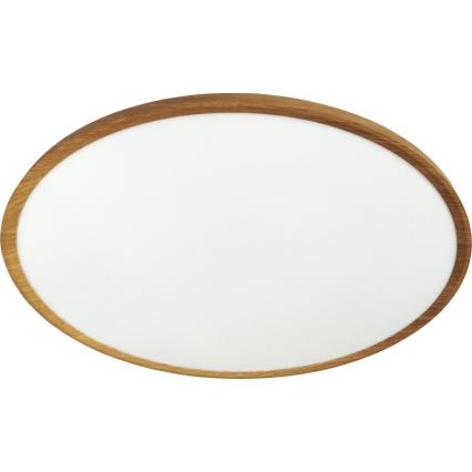 LED Stropní svítidlo LED/40W/230V 3000/4000/6500K pr. 50 cm béžová