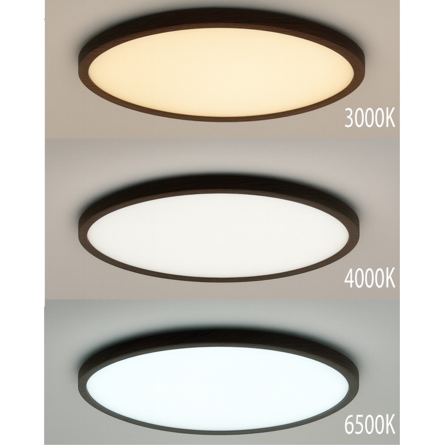 LED Stropní svítidlo LED/40W/230V 3000/4000/6500K pr. 50 cm hnědá