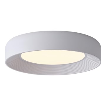 LED Stropní svítidlo LED/40W/230V 3000K bílá