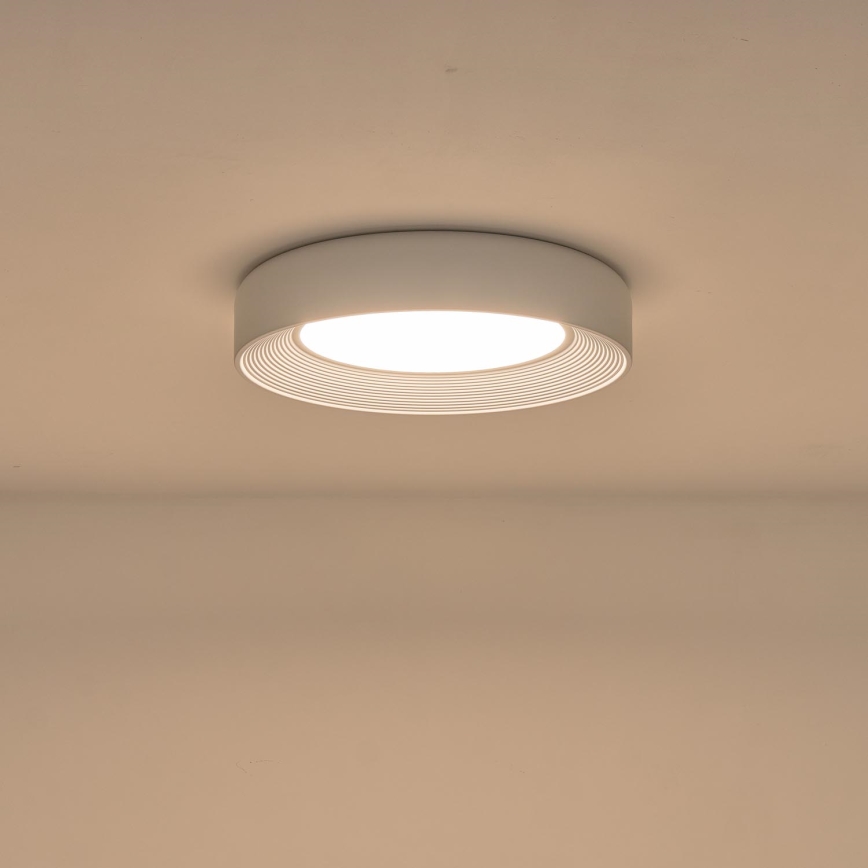 LED Stropní svítidlo LED/40W/230V 3000K bílá pr. 50 cm