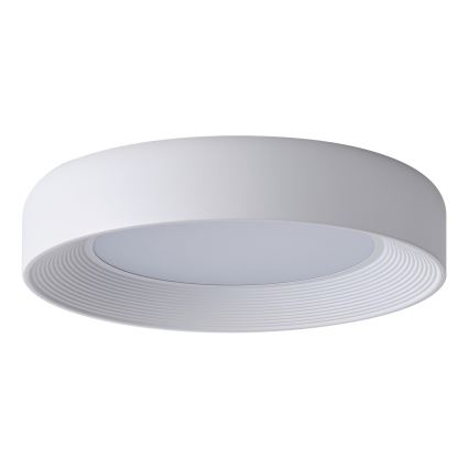 LED Stropní svítidlo LED/40W/230V 3000K bílá pr. 50 cm