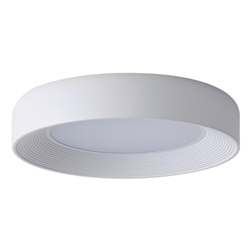 LED Stropní svítidlo LED/40W/230V 3000K bílá pr. 50 cm