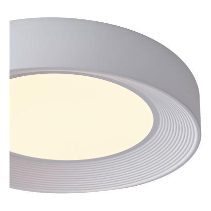 LED Stropní svítidlo LED/40W/230V 3000K bílá pr. 50 cm