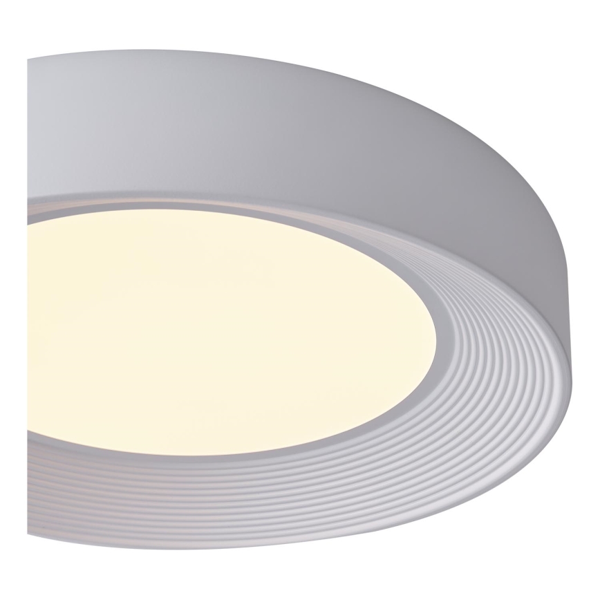 LED Stropní svítidlo LED/40W/230V 3000K bílá pr. 50 cm