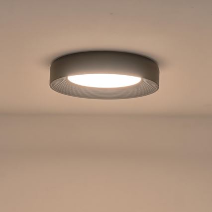 LED Stropní svítidlo LED/40W/230V 3000K černá pr. 50 cm