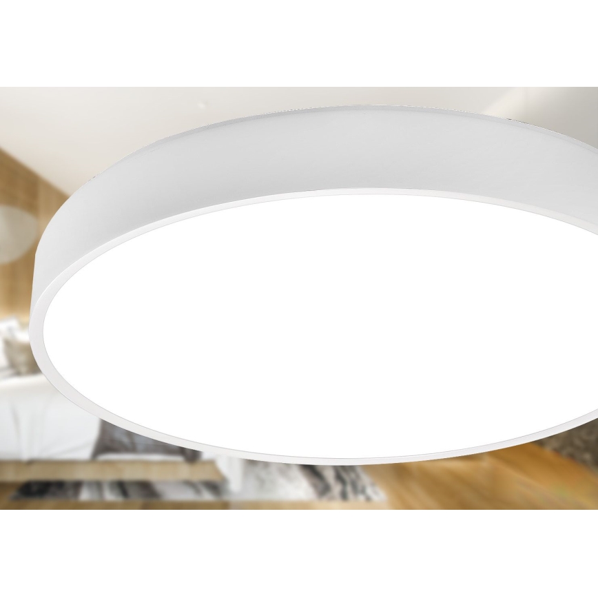 LED Stropní svítidlo LED/60W/230V 4000K pr. 60 cm bílá