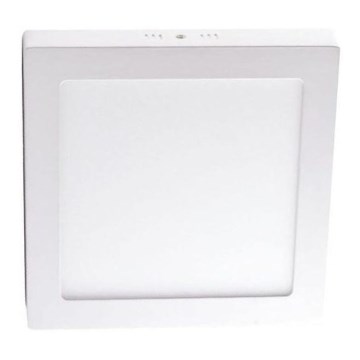 LED Stropní svítidlo LED/6W/230V 4000K 12x12 cm