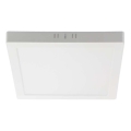 LED Stropní svítidlo LED/6W/230V 6500K 12x12 cm bílá