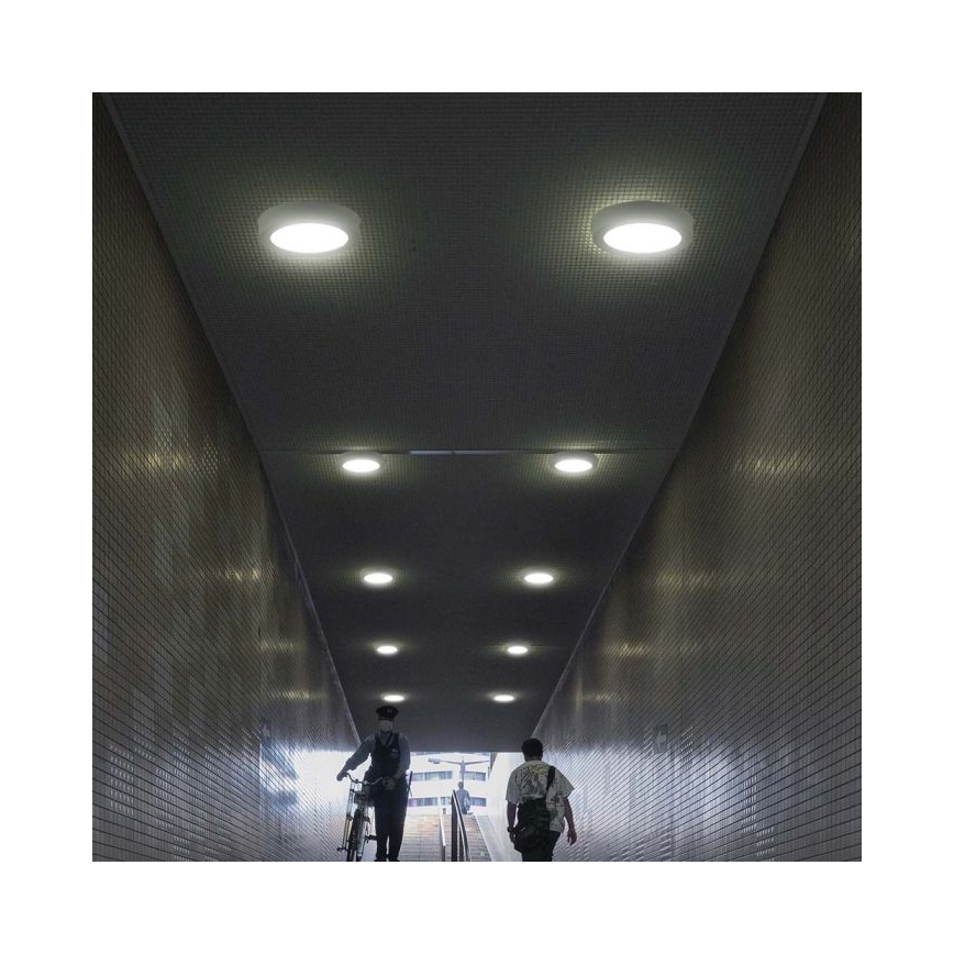 LED Stropní svítidlo LED/6W/230V 6500K bílá
