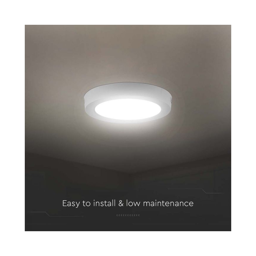 LED Stropní svítidlo LED/6W/230V 6500K bílá