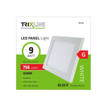 LED Stropní svítidlo LED/9W/230V 4200K