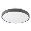 LED Stropní svítidlo LIBRA LED/15W/230V 4000K pr. 29 cm černá