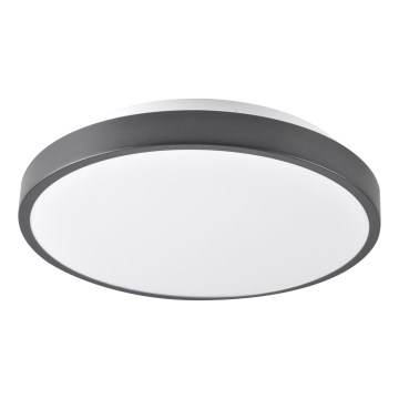 LED Stropní svítidlo LIBRA LED/15W/230V 4000K pr. 29 cm černá