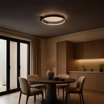 LED Stropní svítidlo LUNA LED/18W/230V pr. 42,5 cm černá