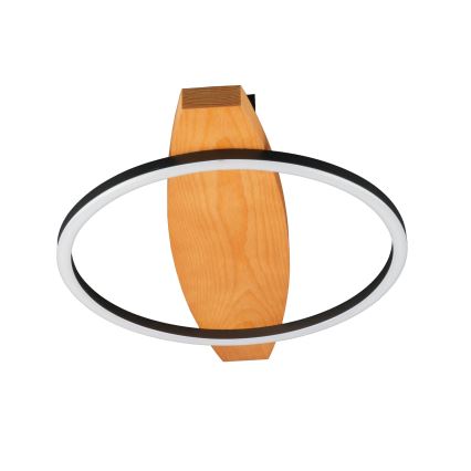 LED Stropní svítidlo MELISA LED/12W/230V 30x40 cm borovice