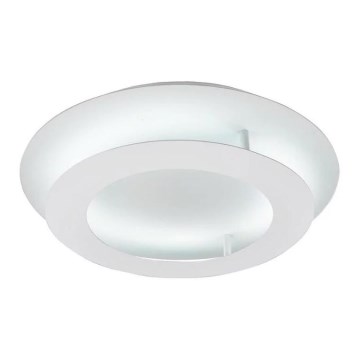 LED Stropní svítidlo MERLE LED/18W/230V