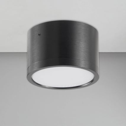 LED Stropní svítidlo MIRELLA 1xGX53/6W/230V černá