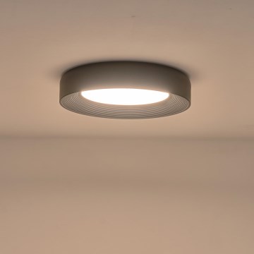 LED Stropní svítidlo MOONLIGHT LED/40W/230V 3000K černá pr. 50 cm
