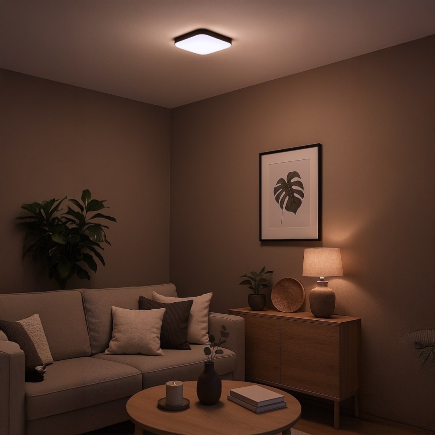 LED Stropní svítidlo NEMO LED/11W/230V 26x26 cm černá