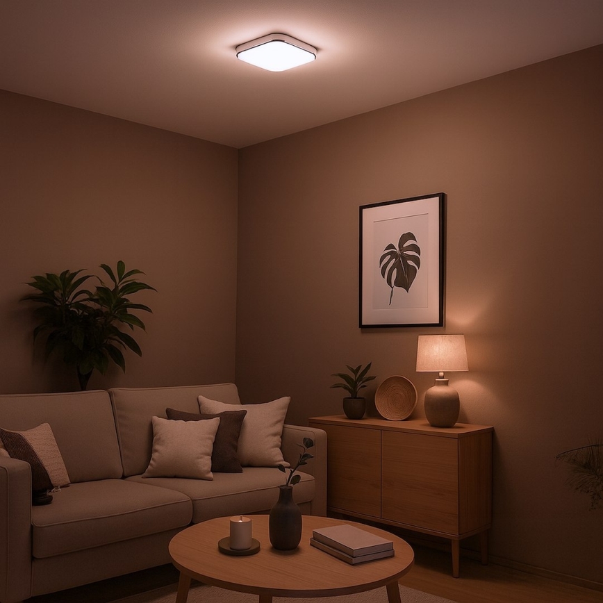 LED Stropní svítidlo NEMO LED/11W/230V 26x26 cm lesklý chrom