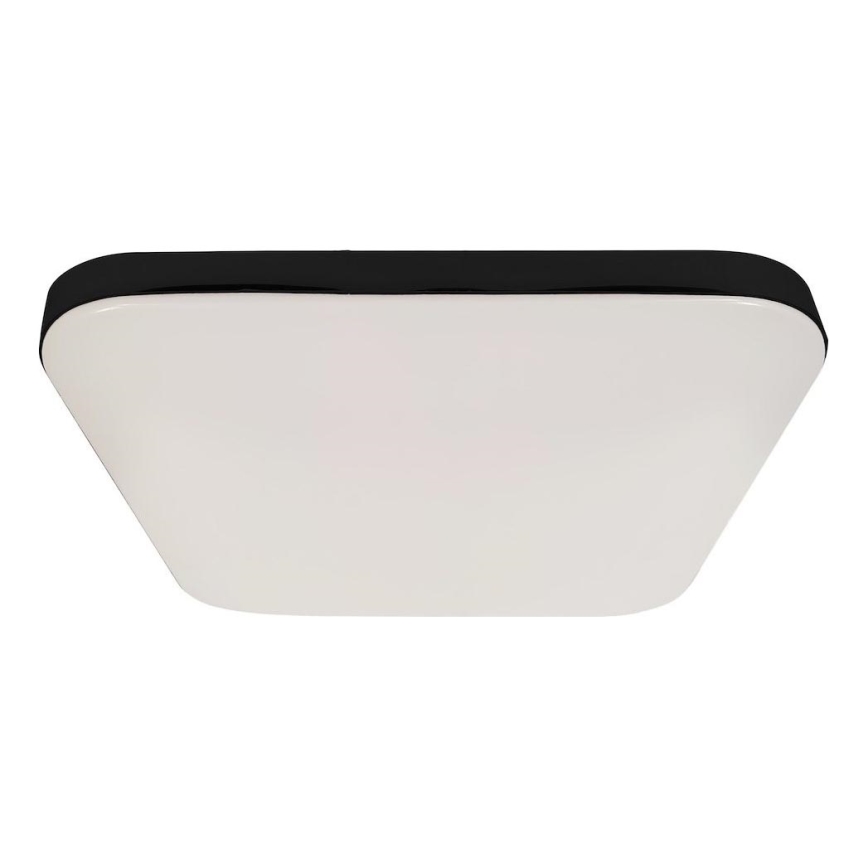 LED Stropní svítidlo NEMO LED/36W/230V 50x50 cm černá