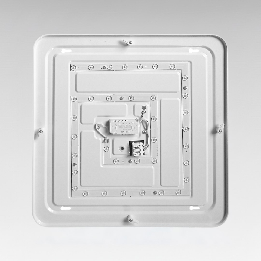 LED Stropní svítidlo NEMO LED/36W/230V 50x50 cm lesklý chrom