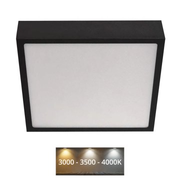 LED Stropní svítidlo NEXXO LED/21W/230V 3000/3500/4000K 22,5x22,5 cm černá