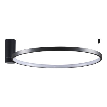 LED Stropní svítidlo NOEMI LED/20W/230V 4000K pr. 50 cm černá