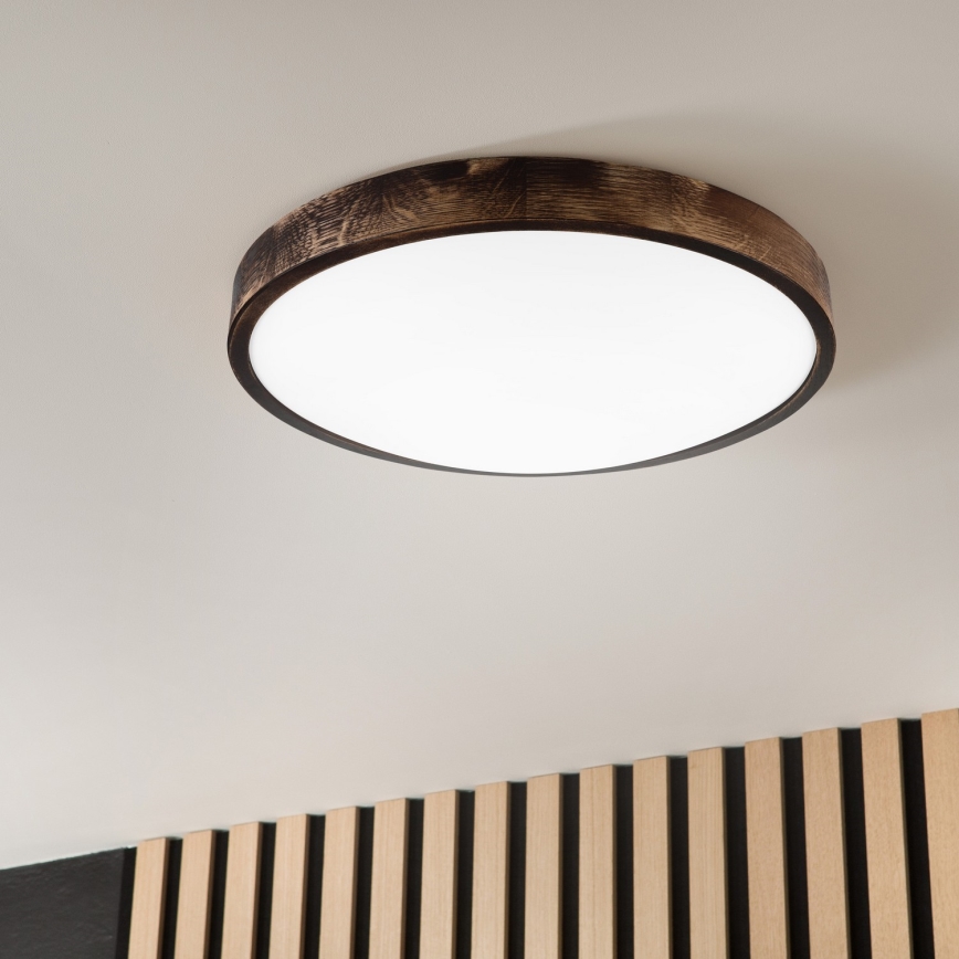 LED Stropní svítidlo OAK SLIM LED/36W/230V 4000K pr. 47 cm dub/tmavě hnědá