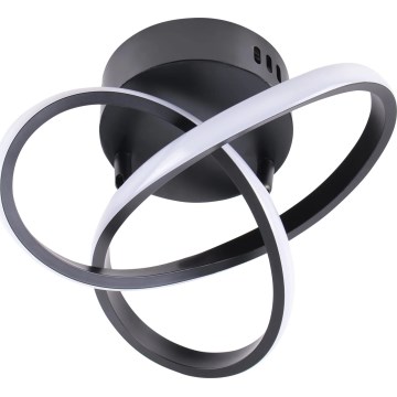 LED Stropní svítidlo OSKAR LED/15W/230V pr. 25 cm černá