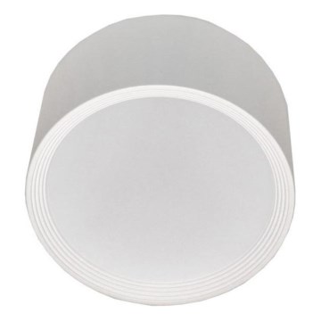 LED Stropní svítidlo PERCI LED/30W/230V IP40 4000K bílá