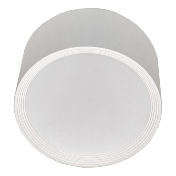 LED Stropní svítidlo PERCI LED/30W/230V IP40 4000K bílá