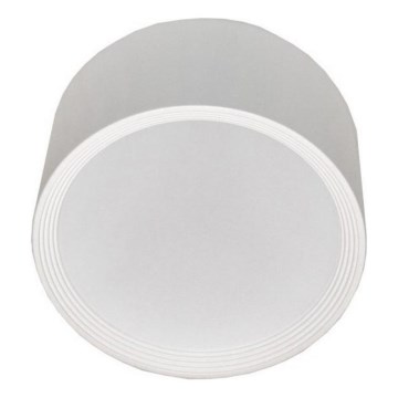 LED Stropní svítidlo PERCI LED/30W/230V IP40 4000K bílá