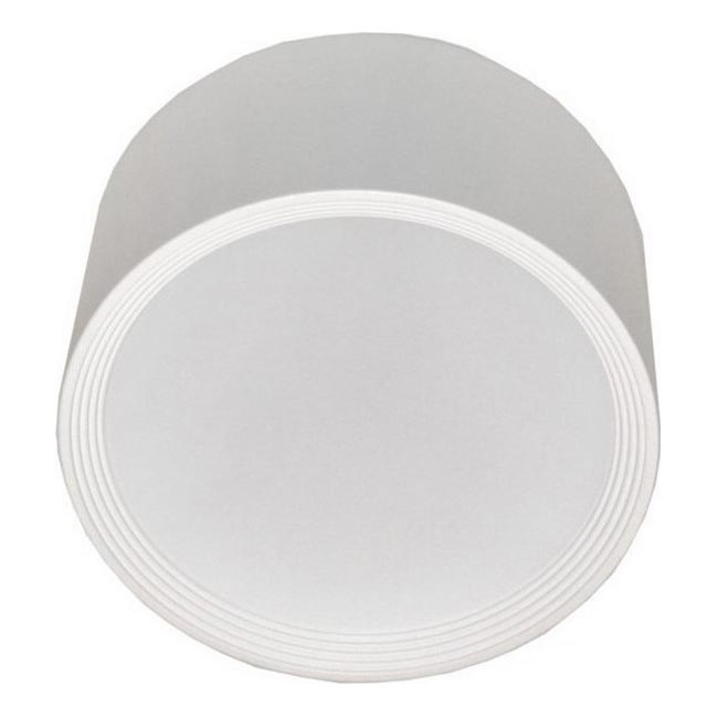 LED Stropní svítidlo PERCI LED/30W/230V IP40 4000K bílá