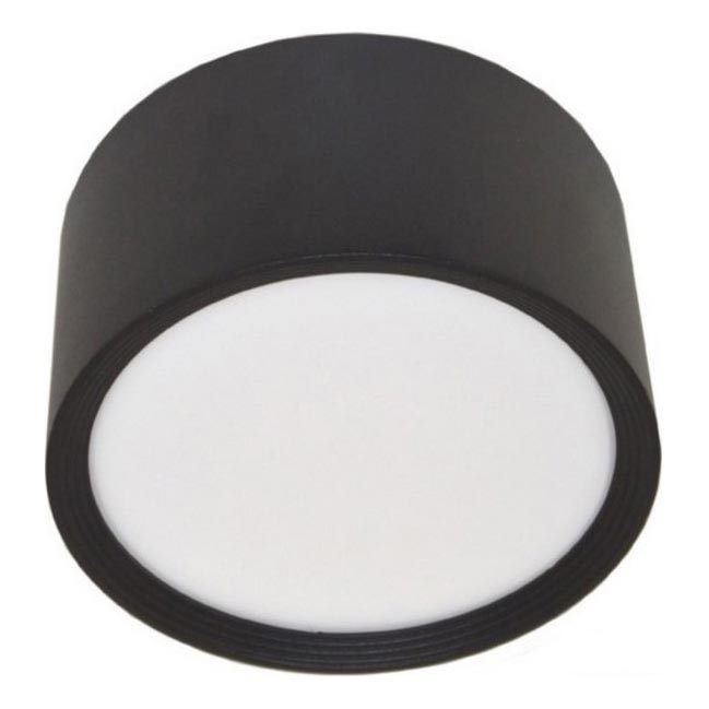 LED Stropní svítidlo PERCI LED/30W/230V IP40 4000K černá