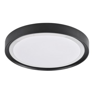 LED Stropní svítidlo PERSE LED/15W/230V černá