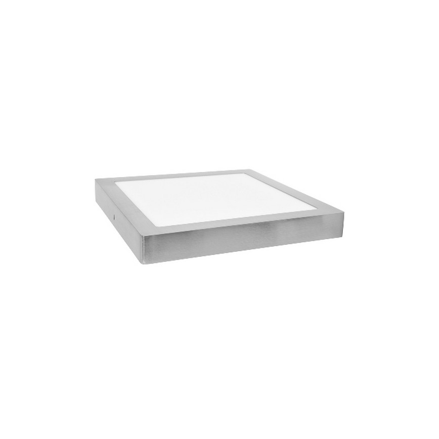 LED Stropní svítidlo RAFA LED/12W/230V 2700K