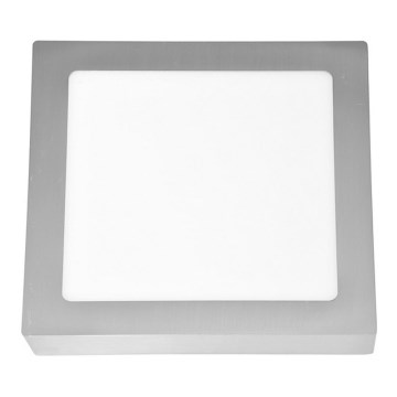 LED Stropní svítidlo RAFA LED/18W/230V 2700K