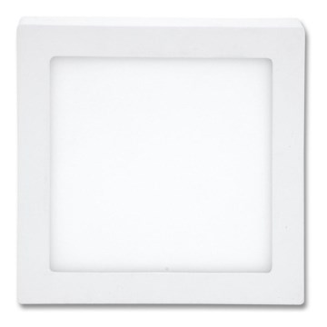 LED Stropní svítidlo RAFA LED/25W/230V 2700K