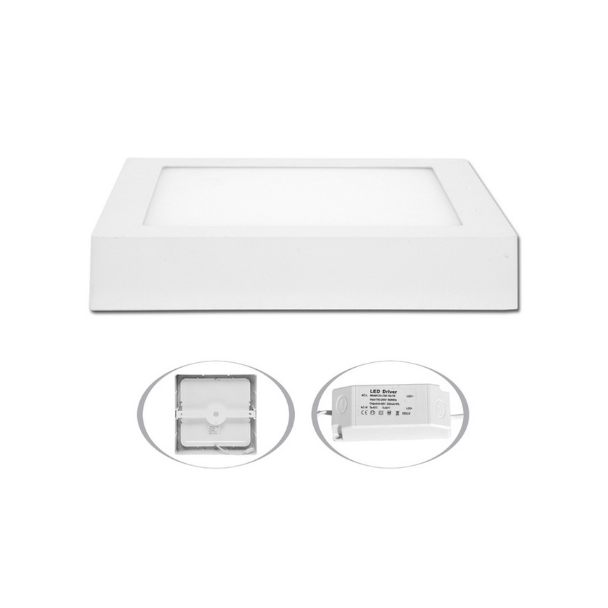 LED Stropní svítidlo RAFA LED/25W/230V 2700K